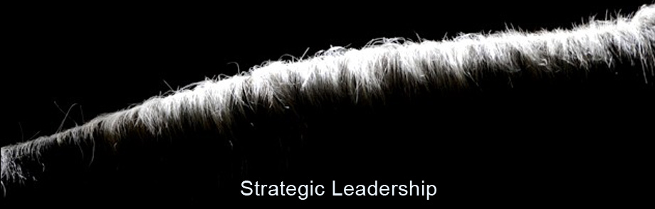 Corporate Leadership